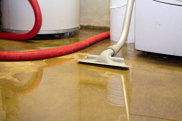 Best Wood Floor Water Damage Restoration in USA